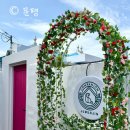 컴페니언바이주문진 | 강릉애견펜션 감성숙소 독채 컴페니언바이 주문진