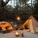 숲속캠핑장 이미지