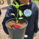 외궁초등학교 이미지