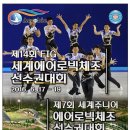 대한댄스에어로빅