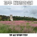 화랑마을 | [경주] 경주 숨은 핑크뮬리 사진 맛집 | 가족들과 함께 가볼만한 곳 추천-‘화랑마을’ 다녀온 후기