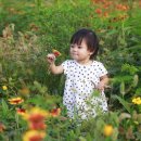 그린상점가 이미지