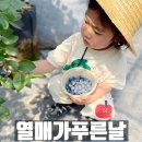 신체의 열매 | 밀양 열매가푸른날 블루베리 부산근교체험