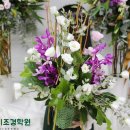 은빛꽃꽂이조경학원 이미지