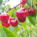 경주농장 이미지