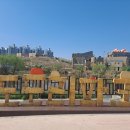 도도리파크(실내) 이미지