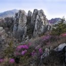 높은골목장 이미지