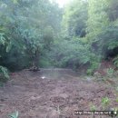 선녀농장 이미지