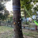 규암초등학교-4 이미지