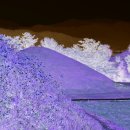 함안 말이산고분군 이미지