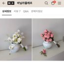 웨딩스냅 촬영 : 세러데이 스튜디오 아이폰 스냅 촬영 후기(+바림메이크업, 조화 부케 대여, 댄스랙북)