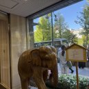 송영빌딩 이미지