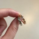 롯데백화점 인천터미널점 1F | 결혼을 해봅시다(1) 우리의 결혼반지 일대기. 최종선택 누니되시겠음니다.