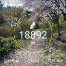 11월 30일 일요일/ 불꽃놀이 👣 이미지