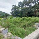 바른농장 이미지