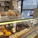 포레드노드 이미지