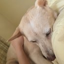 공동육아(중대발표) 이미지