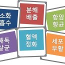 THE쉼(더쉼) 이미지