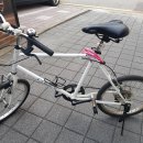 코렉스 자전거 이미지