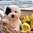 아이센터샵 이미지