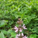 옥골농장 이미지