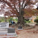 안마을 정자 앞 이미지