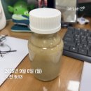 GS25중계럭키점 | [냠냠일기] 9월 2주차(냐냠냠)