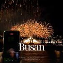 동백섬 | 부산 광안리 불꽃축제 2025 명당 시간 일정 동백섬 관람 후기 (주차 꿀팁)