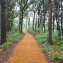 강남자동차공업사 이미지