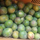 못난이찜 이미지