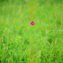 제이위드학원 이미지