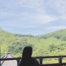 연곡리 비로자나불상 | 진천 나들이 1(걷고 또 걷고 칼로리 소모데이) / 청주 근교 당일치기, 보탑사, 태령산 곤드레 밥집