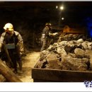 물바람버섯농장 이미지