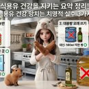 요리독 티스토리