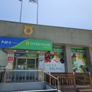 옹진농협 자월지점 이미지