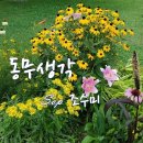 봄의 교향악 이미지