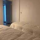 스테이에셀 이미지