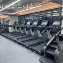 타이거 휘트니스 이미지