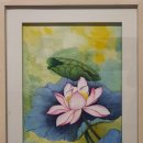 연꽃향기 이미지