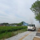 임실방역
