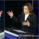 대선약국 이미지