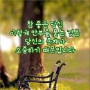 이미운영자님 이미지