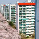 삼익비치아파트 이미지