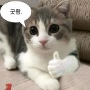 이런 베이커리 카페는 없었다. 경기도 가볼 만한 카페, 양주 "럿지" 베이커리 끝판왕, 다른 베이커리...