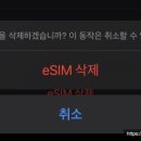 송절약국 이미지