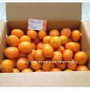 하람농장 이미지