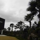 야자수정원 이미지