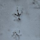 성종농장 이미지