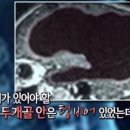 알쏭달쏭해 이미지