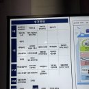 캣 레이크 | [수원/광교/데이트코스] 고양이 천국! 광교 고양이카페 MIYAO(미야오) 후기